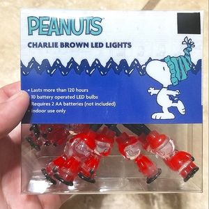 PEANUTS Charlie Brown Christmas LED String Lights